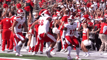 Miamioh GIF by Miami RedHawks Football