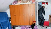 Black Cat GIF