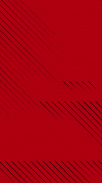 Football Nikita GIF by FCSion