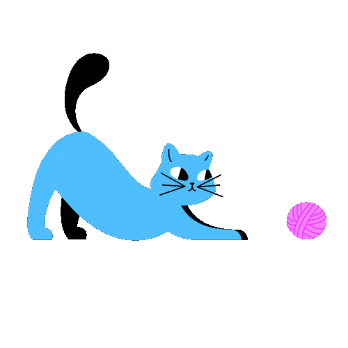 Cat Play Sticker