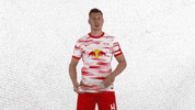 Vamos Lets Go GIF by RB Leipzig