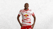 Vamos Lets Go GIF by RB Leipzig