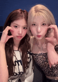 Bae GIF