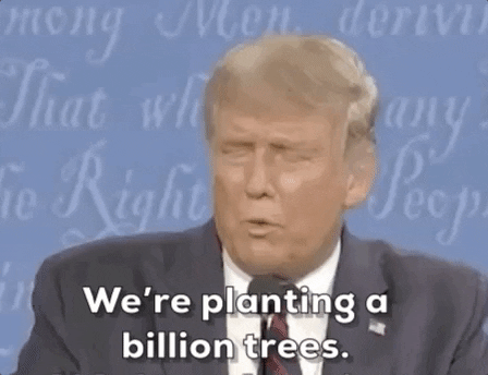 Politics gif. Donald Trump behind a mic apparently wincing as he says "were planting a billion trees," which appears as text.