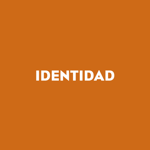 sanchez20_agency giphyupload naranja identidad sanchez20 GIF