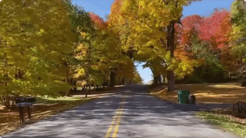 Fall Foliage Lines the Roads of Northwest New York