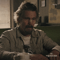 Ethan Hawke Idk GIF by FX Networks
