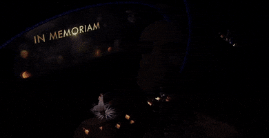 oscars 2017 GIF by The Academy Awards