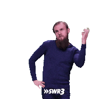 Happy Dance Sticker by SWR3