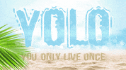YoloRum cocktail yolo spirits yolorum GIF