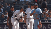 Blue Jays Hello GIF by Toronto Blue Jays