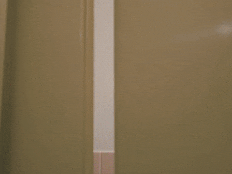 Comedy Lol GIF by The Gregory Brothers