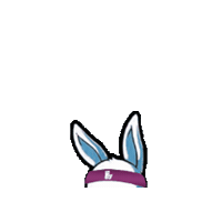 Coelhofitland Sticker by Rede Fitland