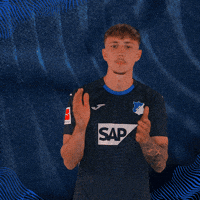 Sport Bundesliga GIF by TSG Hoffenheim