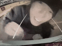 Deb Never GIF by Giant Music