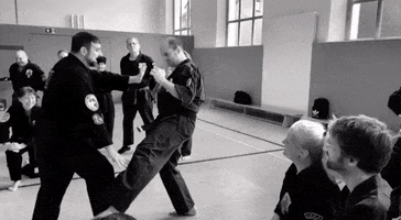 Karate Exeter GIF by Flaming Fist Kenpo Germany - empty hands e.V.