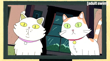 Season 1 Cats GIF by Rick and Morty