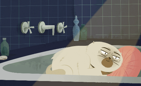Bes Animation GIF by Kitty Is Not A Cat