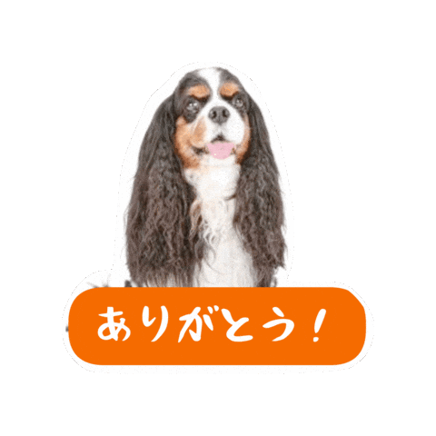 Dogs Hello Sticker