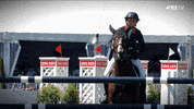 FEI_Global sport up action fly GIF