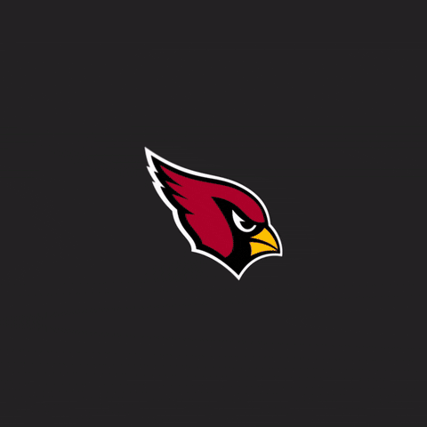 Christian Kirk Touchdown GIF by Arizona Cardinals