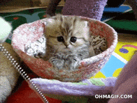 Safe For Work Hello GIF