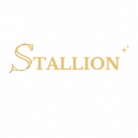 Stallion GIF by Semilly