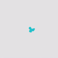 Letsbuy_sa letsbuy lets buy GIF
