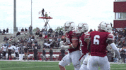 Colgate University Football GIF by Colgate Athletics