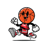 Houston Rockets Basketball Sticker by RGV Vipers