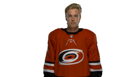 Ryan Dzingel Sticker by Carolina Hurricanes