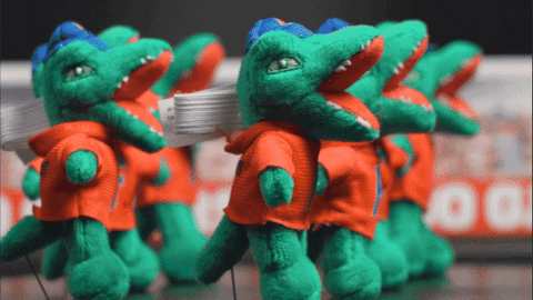 StandUpAndHoller giphyupload mascot florida gators go gators GIF