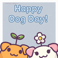Dog Day GIF by Castaways