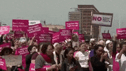 news protest abortion reproductive rights scotus GIF
