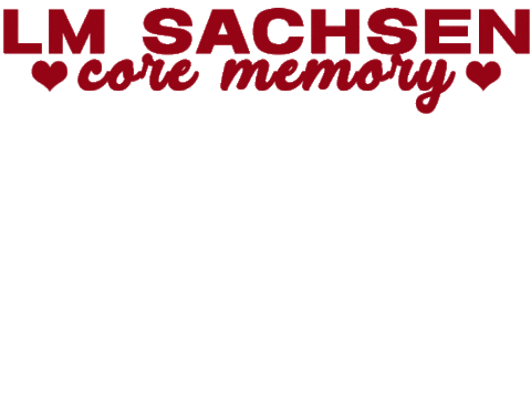 Cheer Cheerleading Sticker by Cheersportsachsen