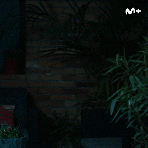 Baile Comedia GIF by Movistar Plus+