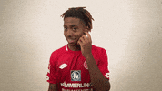 Leandro Barreiro GIF by 1. FSV Mainz 05