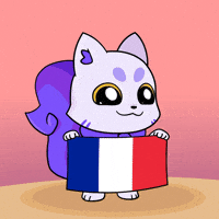France Flag GIF by Lucky Kat Studios