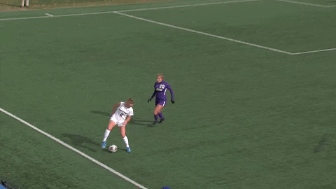 Soccer GIF by Hofstra Pride
