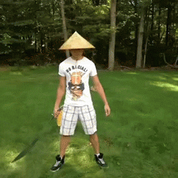 Fruit Ninja GIF