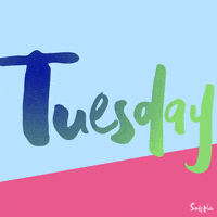 Text gif. Light blue and hot pink background with dark blue and green gradient text. Text, “Tuesday.”