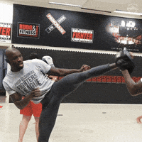 pflmma kick kicks pfl sadibou sy GIF