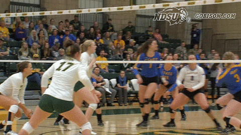 north dakota state bison GIF by NDSU Athletics