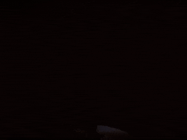 Guitar Band GIF by Fall Out Boy