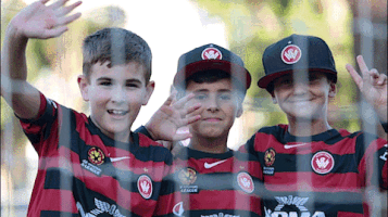 wswanderersfc reaction football wanderers western sydney wanderers GIF