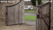 This Way Reaction GIF by Acorn TV Latin America