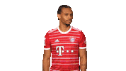 No Way Football Sticker by Bundesliga