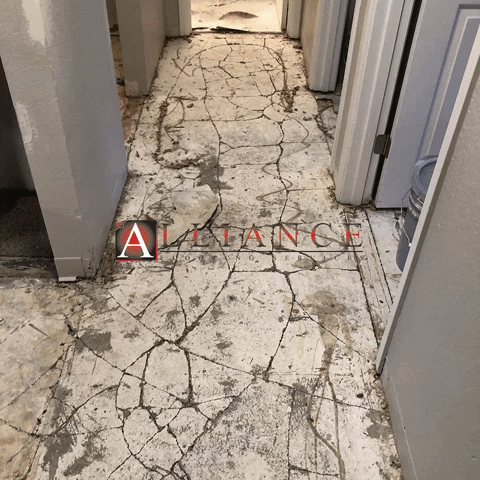 Afs Flooring GIF by Adamsphere Media