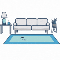 MyMagicCarpet cats home dogs house GIF