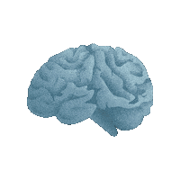 Marketing Brain Sticker by Branches Mission Lab